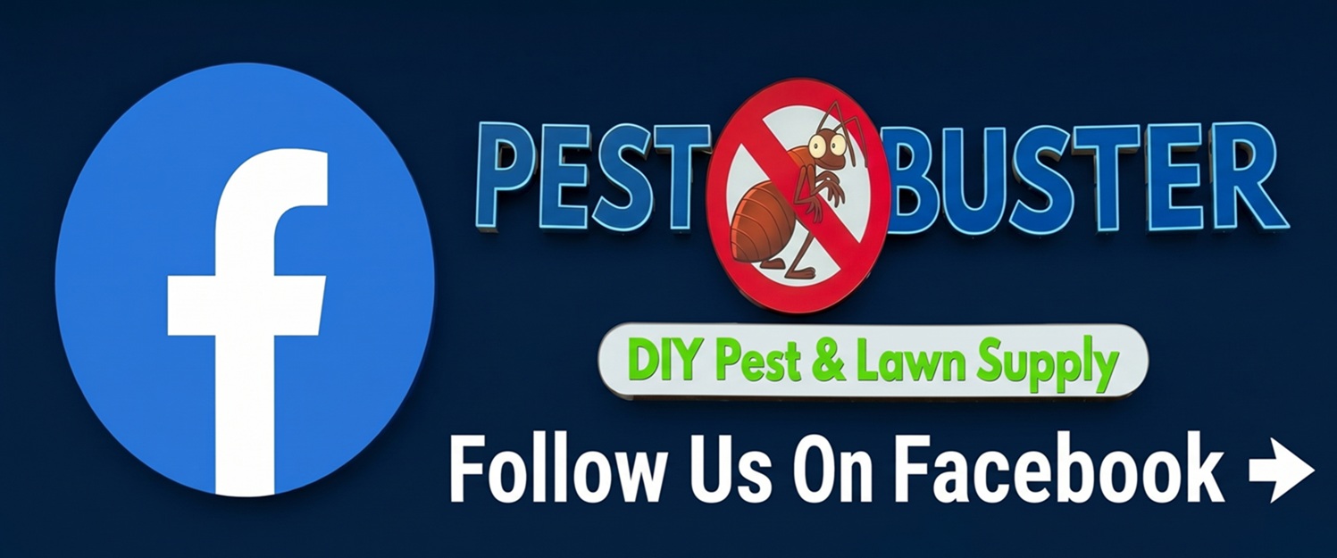 Follow Pest Buster on Facebook